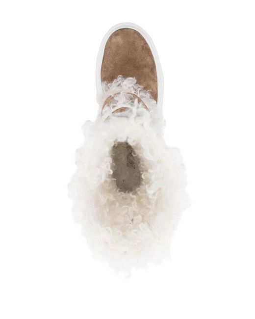 Casadei Brown Generation C Marika Boots In Camel And White