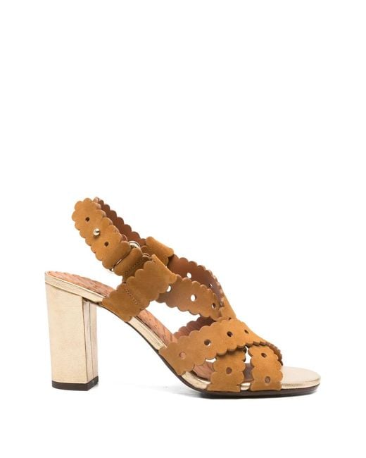 Chie Mihara Brown Scalloped Biby Sandals
