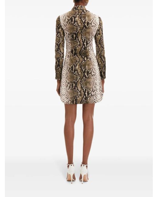 Oscar de la Renta Green Snake Cotton Poplin Shirt Dress