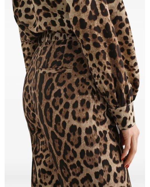 Dolce & Gabbana Natural Leo-Print Wool Trousers