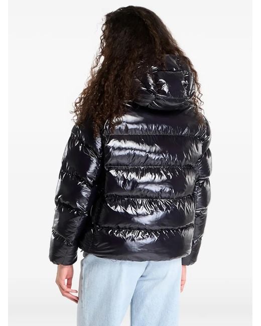 Napapijri Black Hooded Padded Jacket