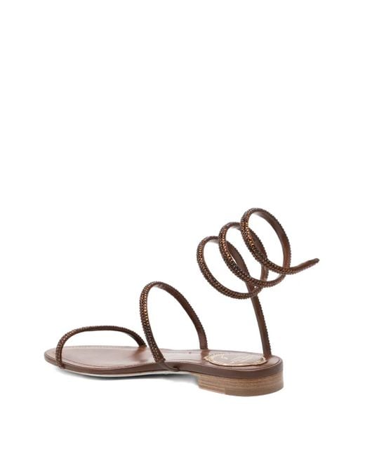 Rene Caovilla Brown Cleo Sandals