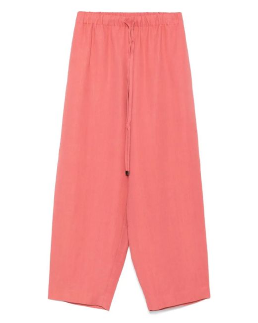 Antonelli Svezia Broek in het Pink