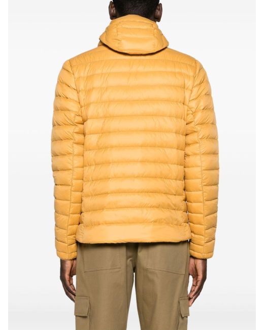 Patagonia Yellow Logo-patch Hooded Down Jacket for men