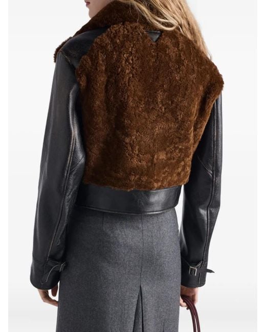 Prada Brown Panelled Leather And Shearling Jacket
