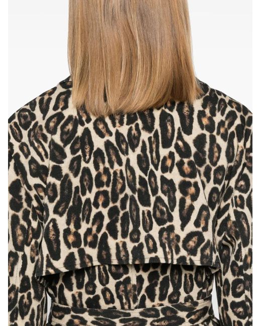 Theory Natural Leopard Trench Coat