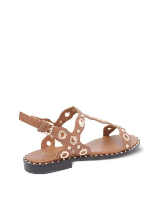 Ash Brown Pop Sandals