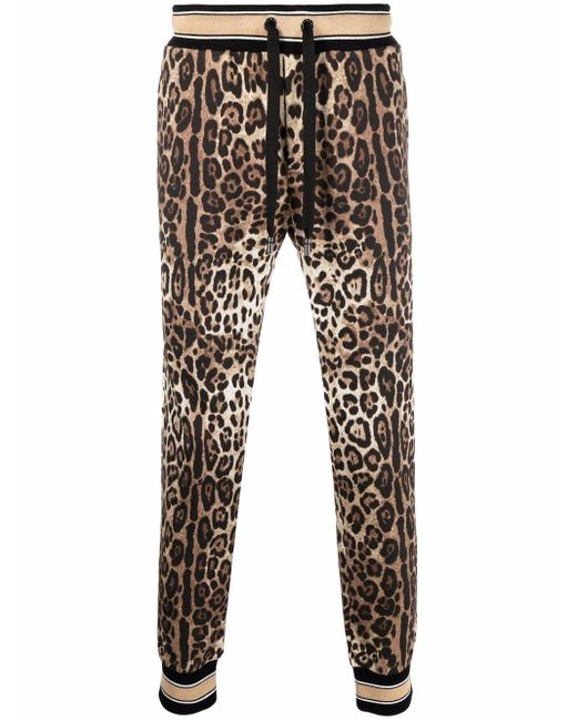 Pantalon de jogging à imprimé léopard Coton Dolce & Gabbana pour homme |  Lyst