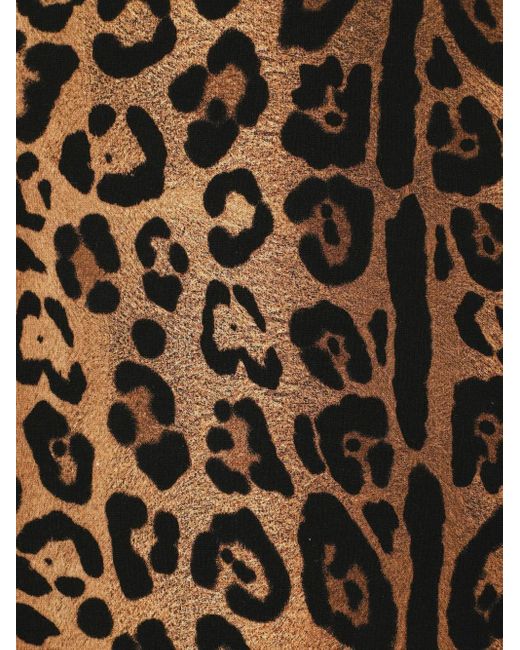 Dolce & Gabbana White Leopard-Print Crew-Neck T-Shirt