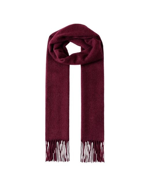 Bufanda Con Borde Con Flecos Hackett de hombre de color Purple