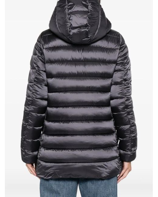 Save The Duck Gray Hooded Padded Jacket