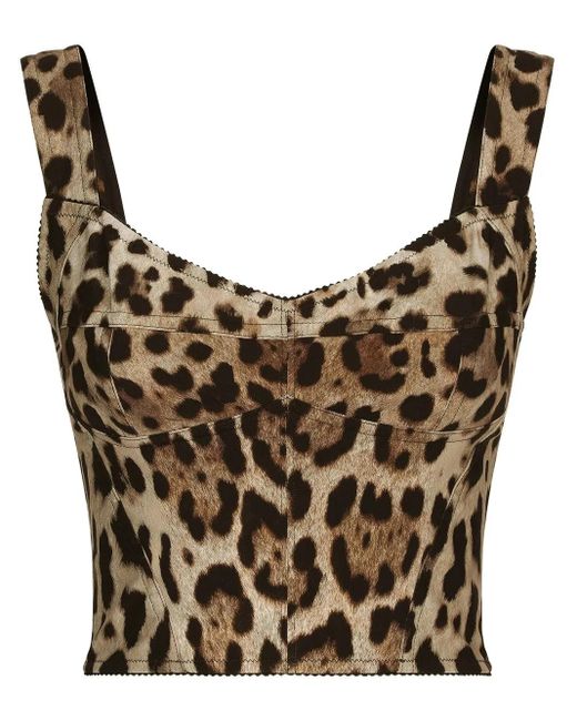 Dolce & Gabbana Brown Top