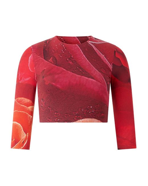 Roberto Cavalli ローズプリント Tシャツ Red