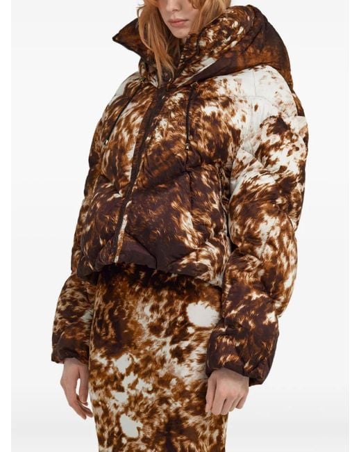 Roberto Cavalli Brown Appaloosa-Print Puffer Jacket