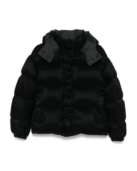 Moncler Donsjack Met Drukknoop in het Black