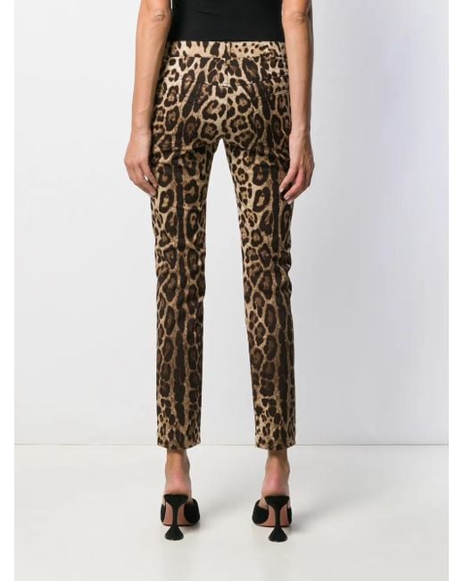Dolce & Gabbana Multicolor Five-pocket Leopard-print Pants