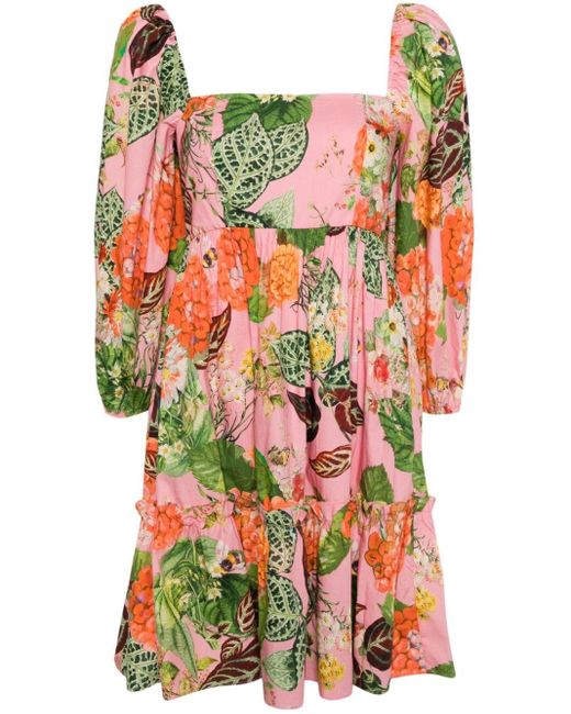 Cara Cara Pink Sip Sip Floral-print Cotton Mini Dress
