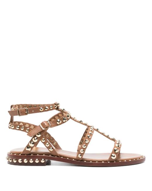 Ash Brown Precious Sandals