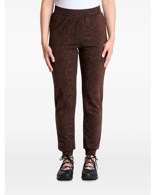 EA7 Brown Snakeskin-Print Track Pants
