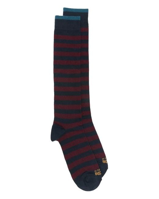 In The Box Blue Striped Socks for men