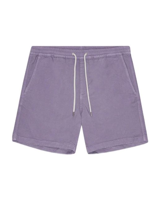 NN07 Purple Drawstring Shorts for men