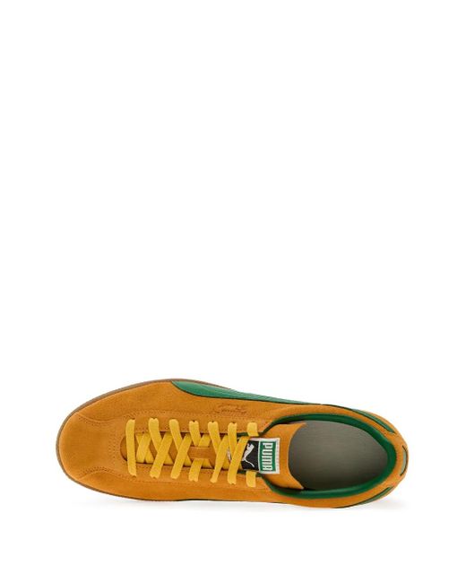 PUMA Green Baskets Brésil