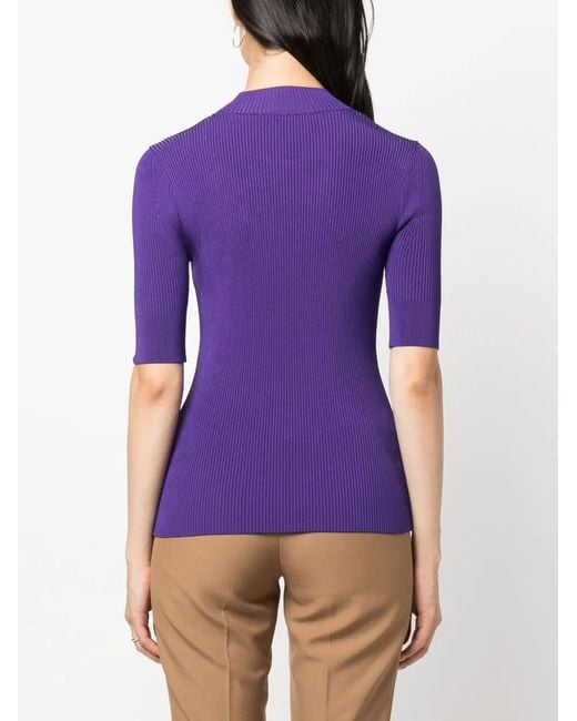 Stella McCartney Purple High-Neck Ribbed Top