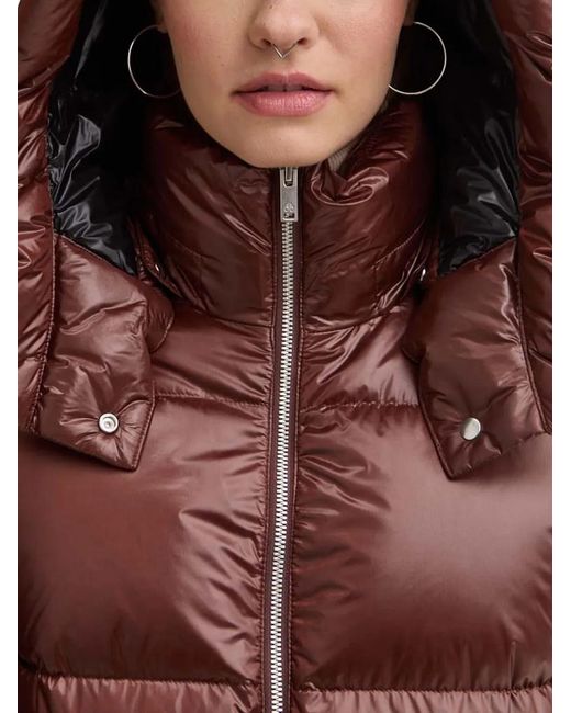 Moose Knuckles Brown Padded Hooded Jacket