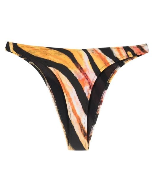 Roberto Cavalli Orange Tiger-Print Bikini Bottoms