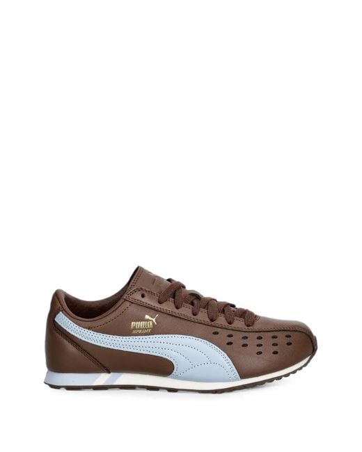 PUMA Brown Sprint Round-Toe Low-Top Sneakers