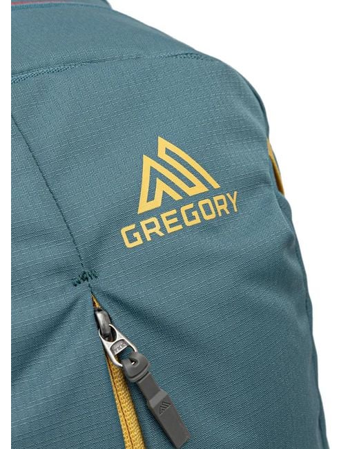 Gregory Blue Retna 25 Logo-Print Backpack
