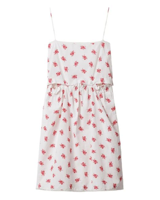 Robe En Popeline De Coton Miu Miu en coloris White