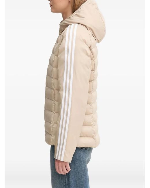 Adidas Natural Adicolor Hooded Jacket