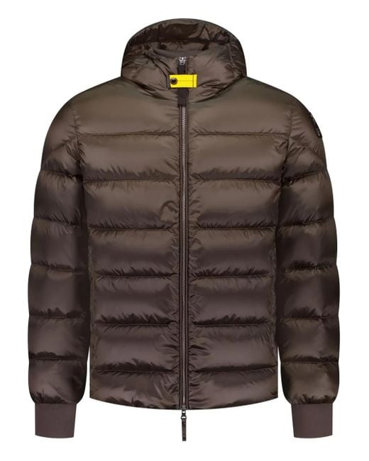 Pharrel hooded padded jacket Parajumpers de hombre de color Brown