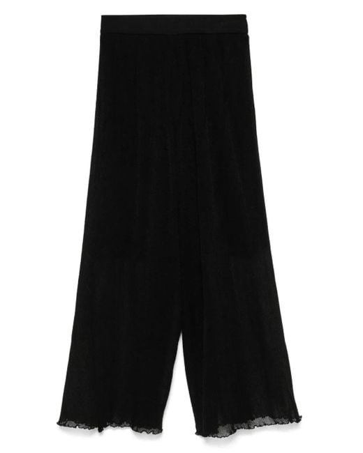 CFCL Black Hypha Lucent Hose