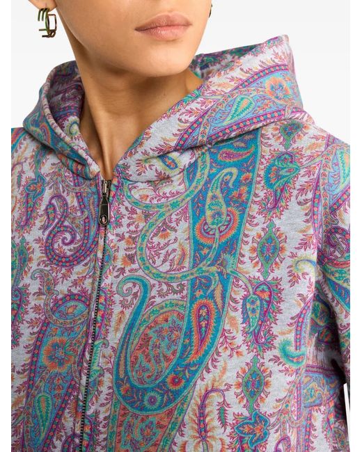 Etro Gray Paisley-Pattern Foliage Hooded Sweater