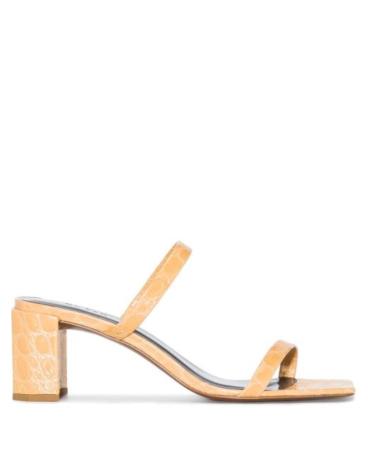 by far tanya mules