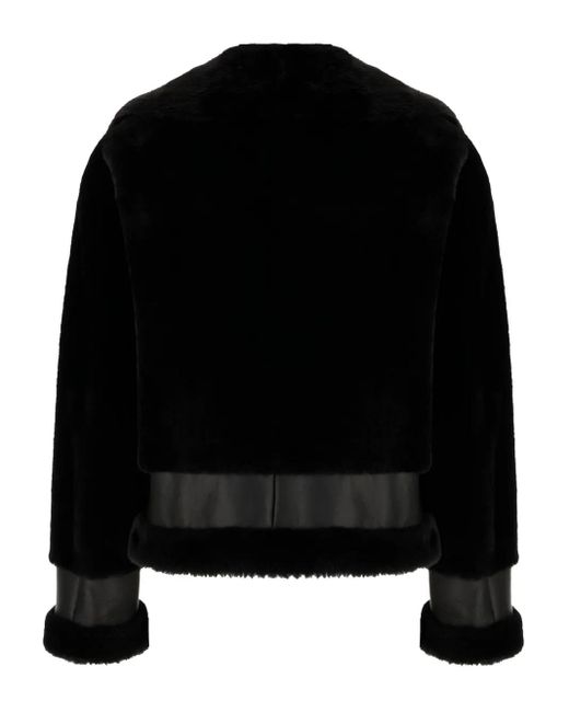 Blancha Black Leather Shearling Jacket