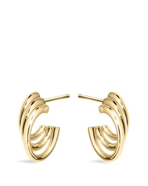 Shaun Leane Metallic Bound Hoop Earrings