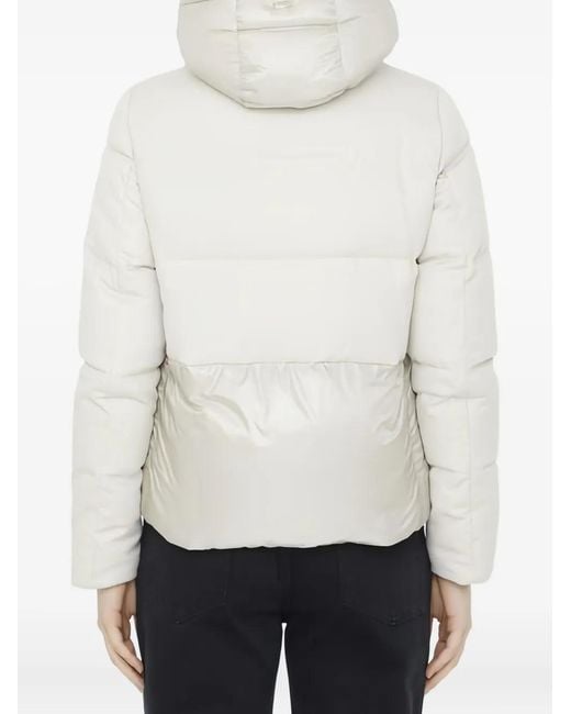 Herno Donsjack Met Capuchon in het White