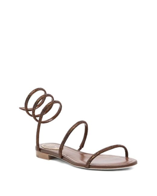 Rene Caovilla Brown Cleo Sandals
