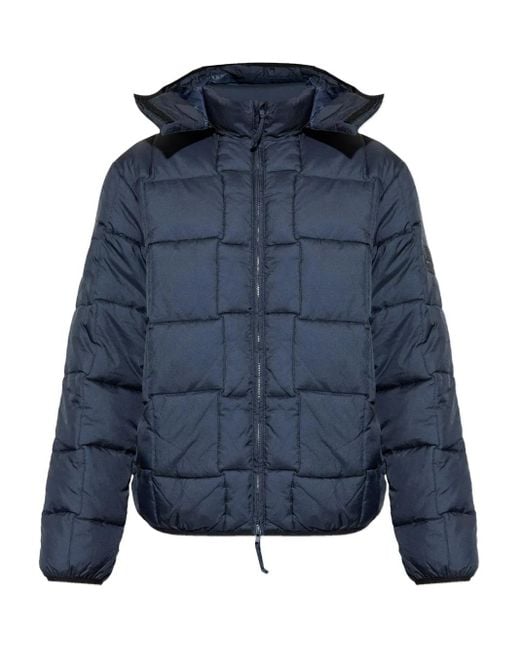 Winter Jackets di EA7 in Blue da Uomo