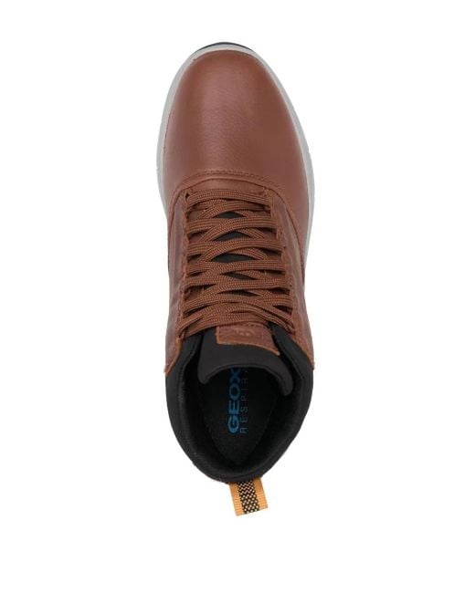 Geox Brown Spherica 4X4 High-Top Sneakers for men