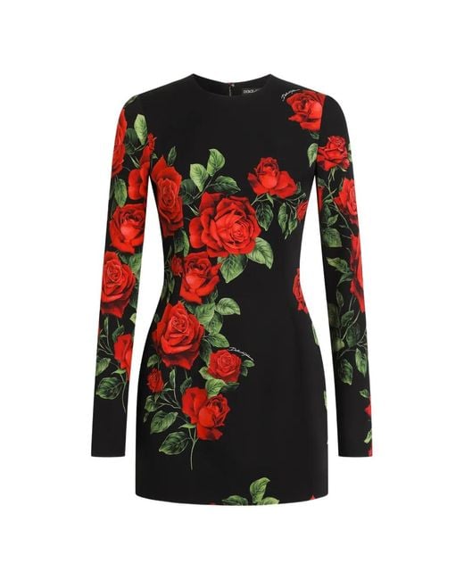 Dolce & Gabbana Red Rose-Print Charmeuse Mini Dress