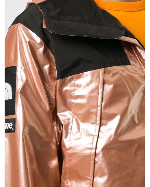Supreme Black X The North Face Metallic Mountain Jacket for men