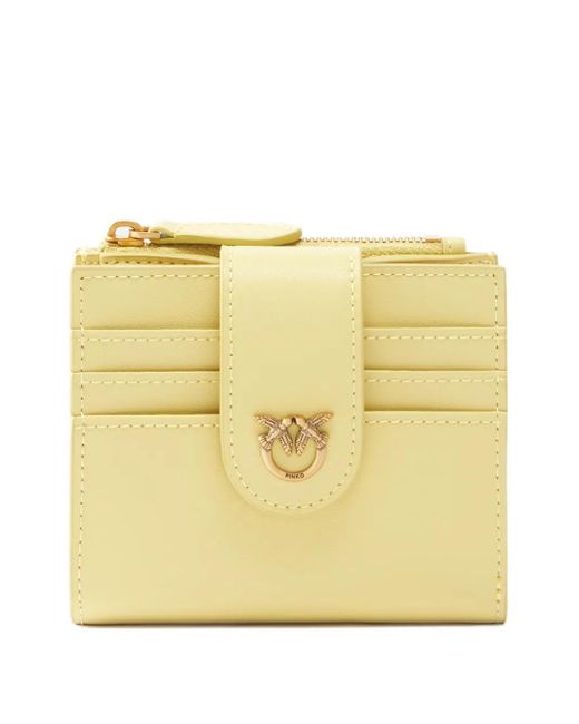 Pinko Metallic Klassisches Kartenetui