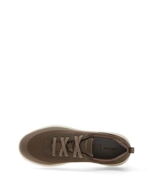 Geox Brown Spherica Sneakers for men