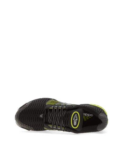 Adidas Green Climacool 1 Sneakers for men