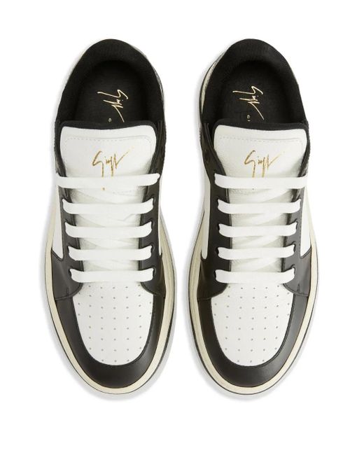 Giuseppe Zanotti Black Gz94 Sneakers