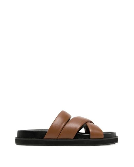 Senso Brown Nico Leather Sandals